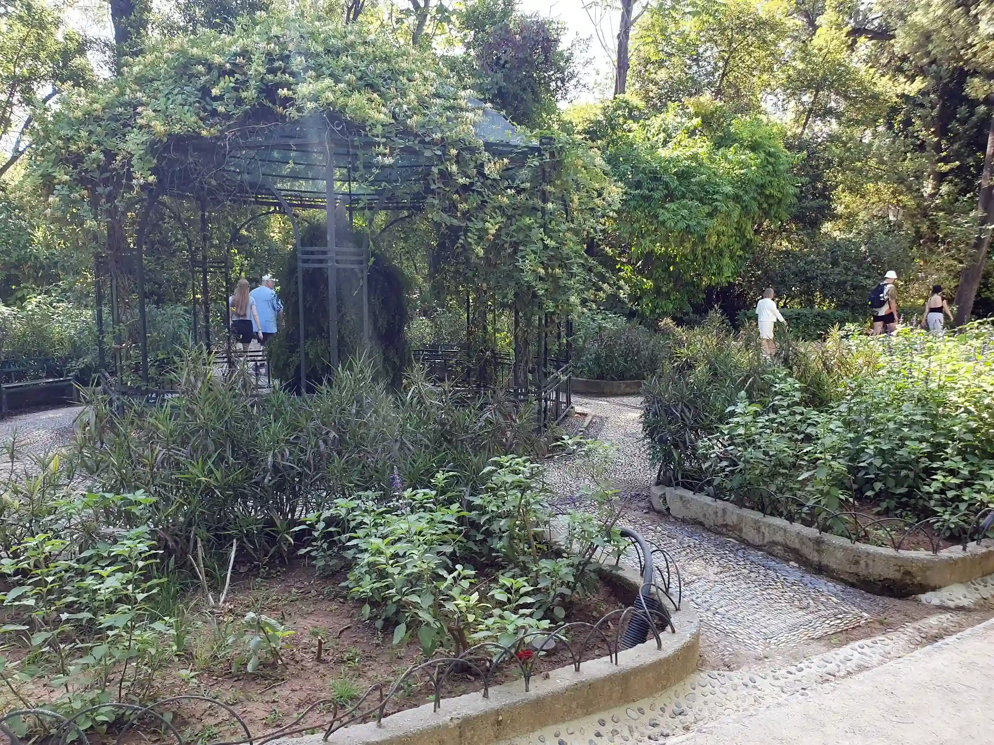 Athen - National Garden (2024)