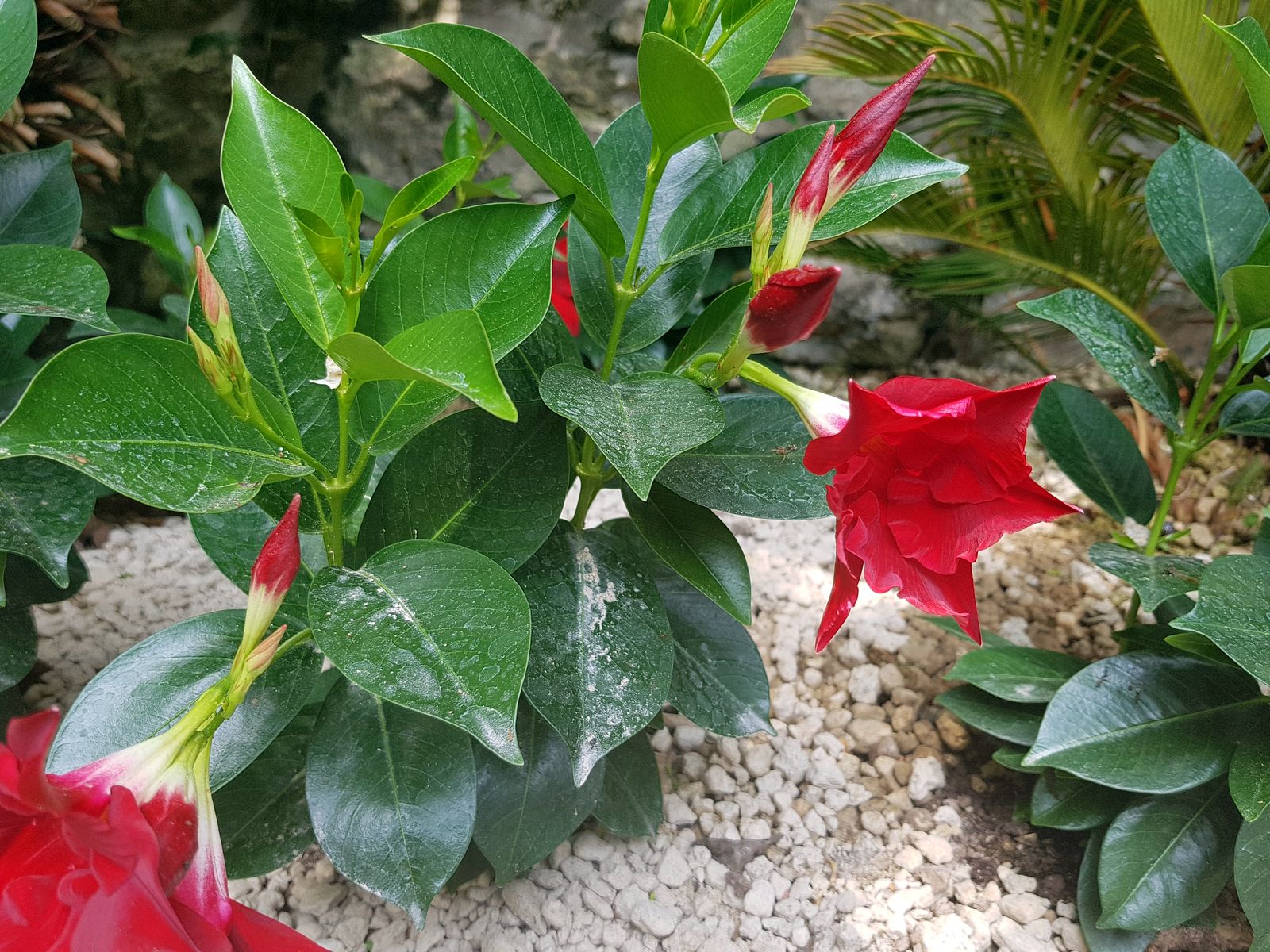 Parco Grotta Cascata Varone