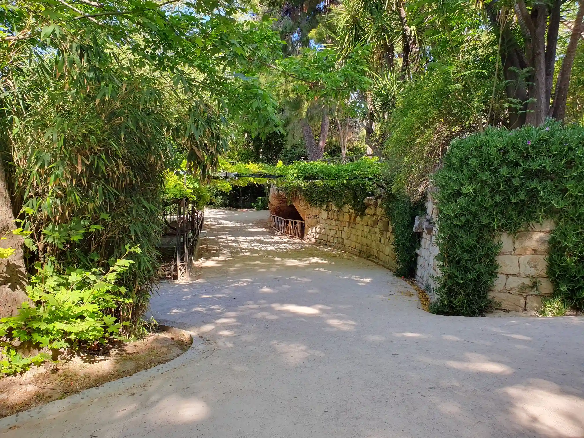 Athen - National Garden 2024