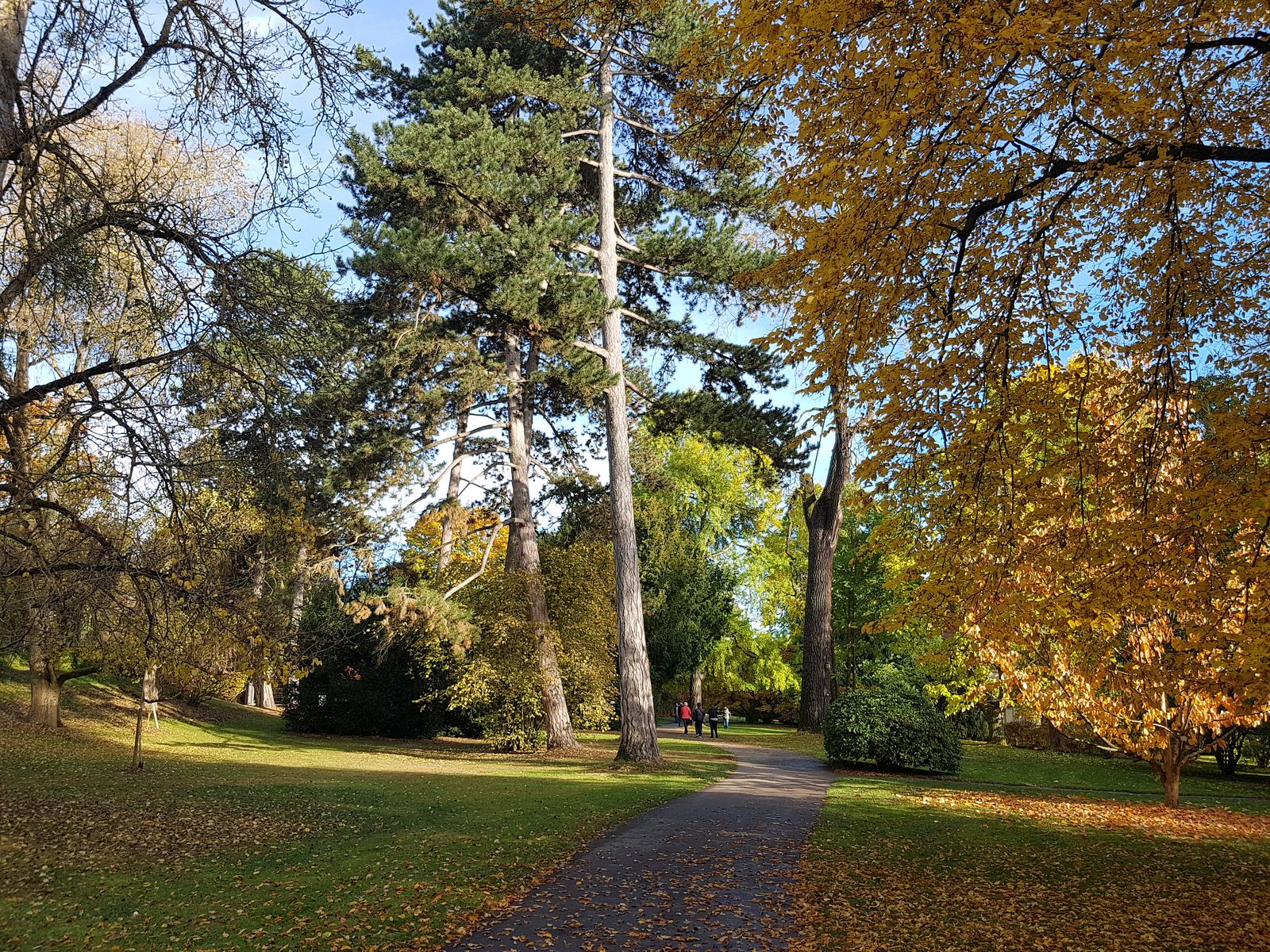 Botanischer Garten Hohenheim - 2021