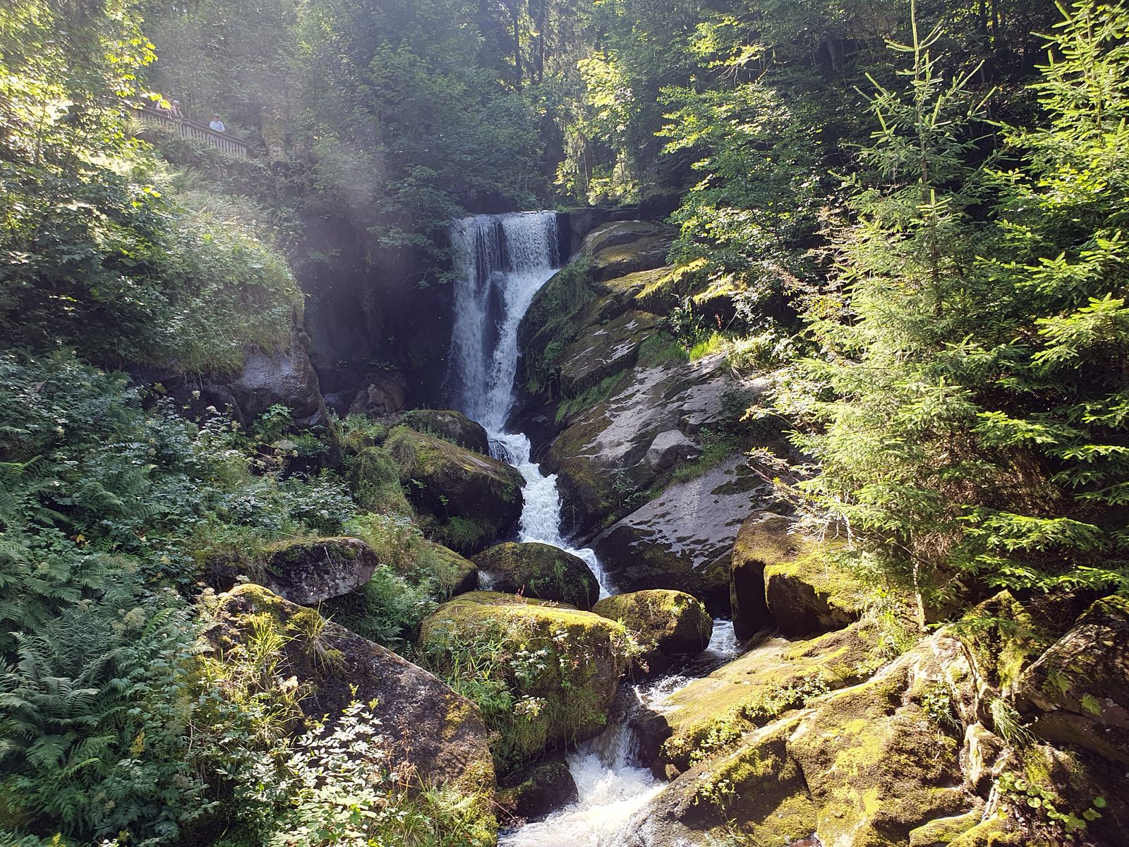 Triberger Wasserfall - 2025