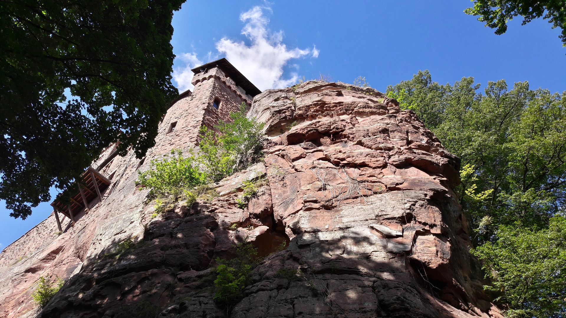 Burg Berwartstein - 2017