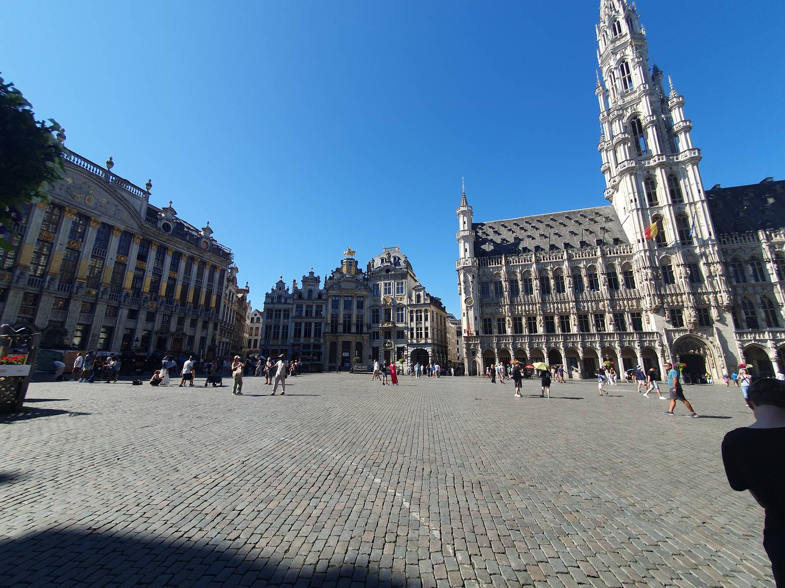 Fotografie