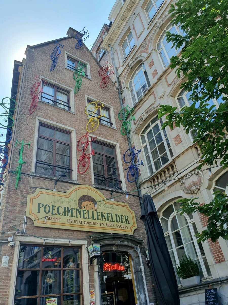 Fotografie