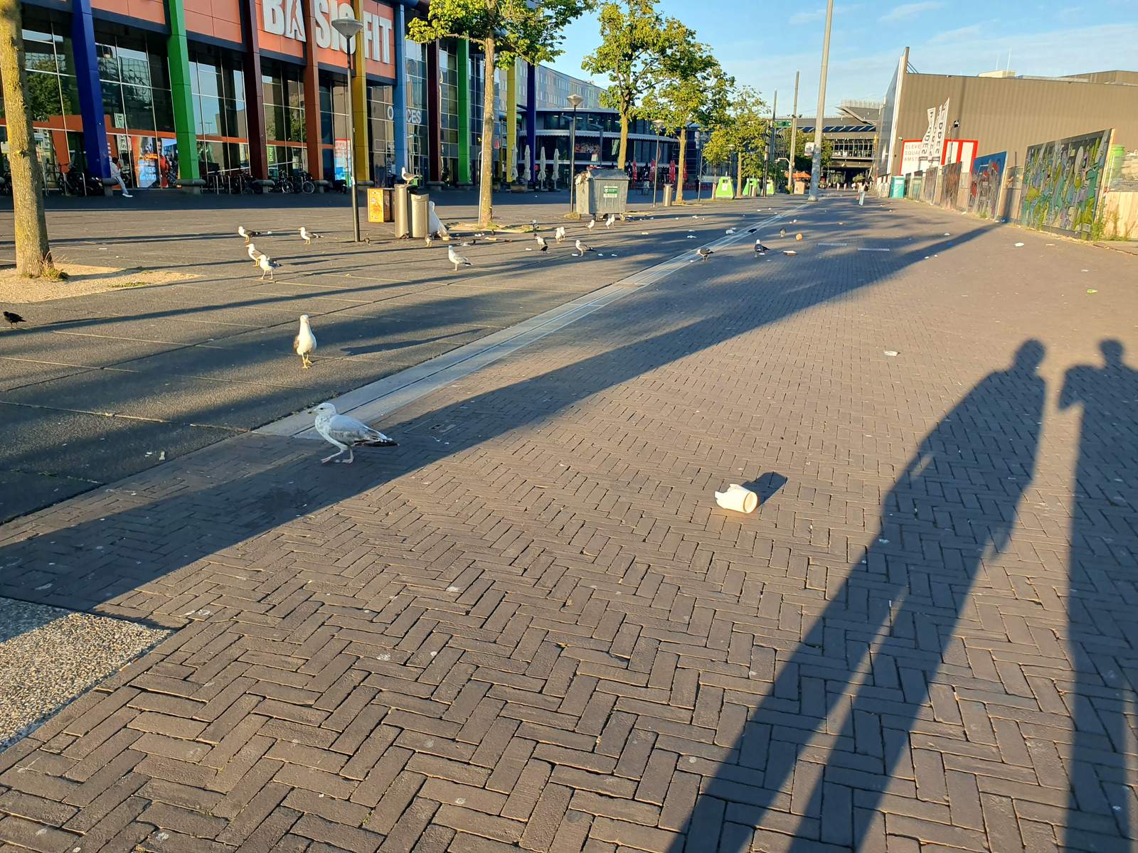 Fotografie
