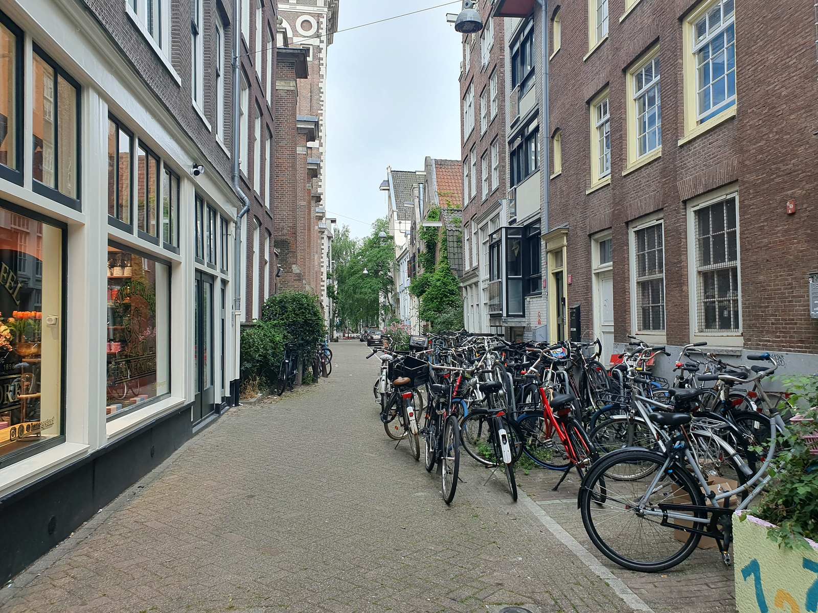 Fotografie