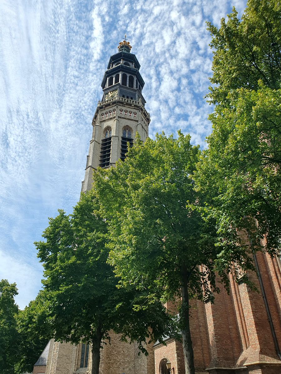Fotografie