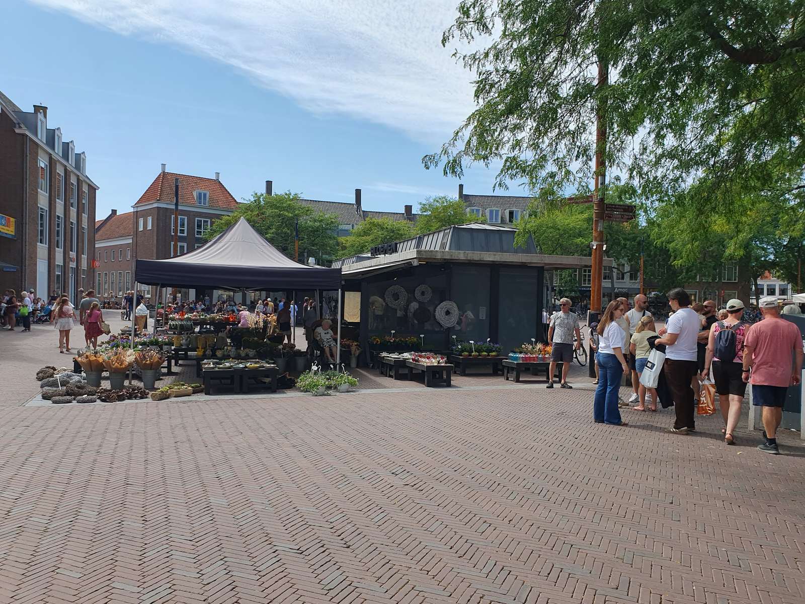 Fotografie