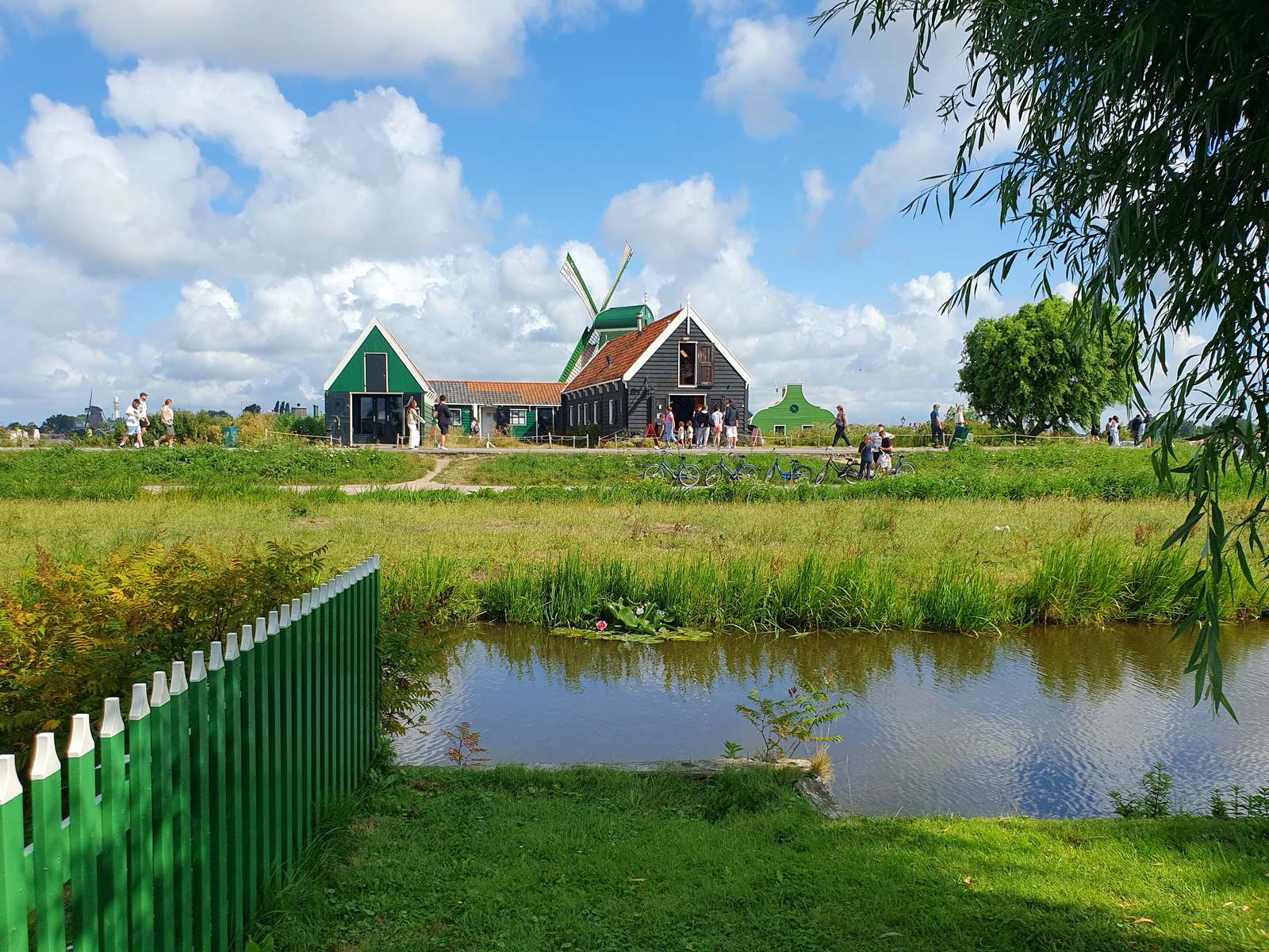 Fotografie