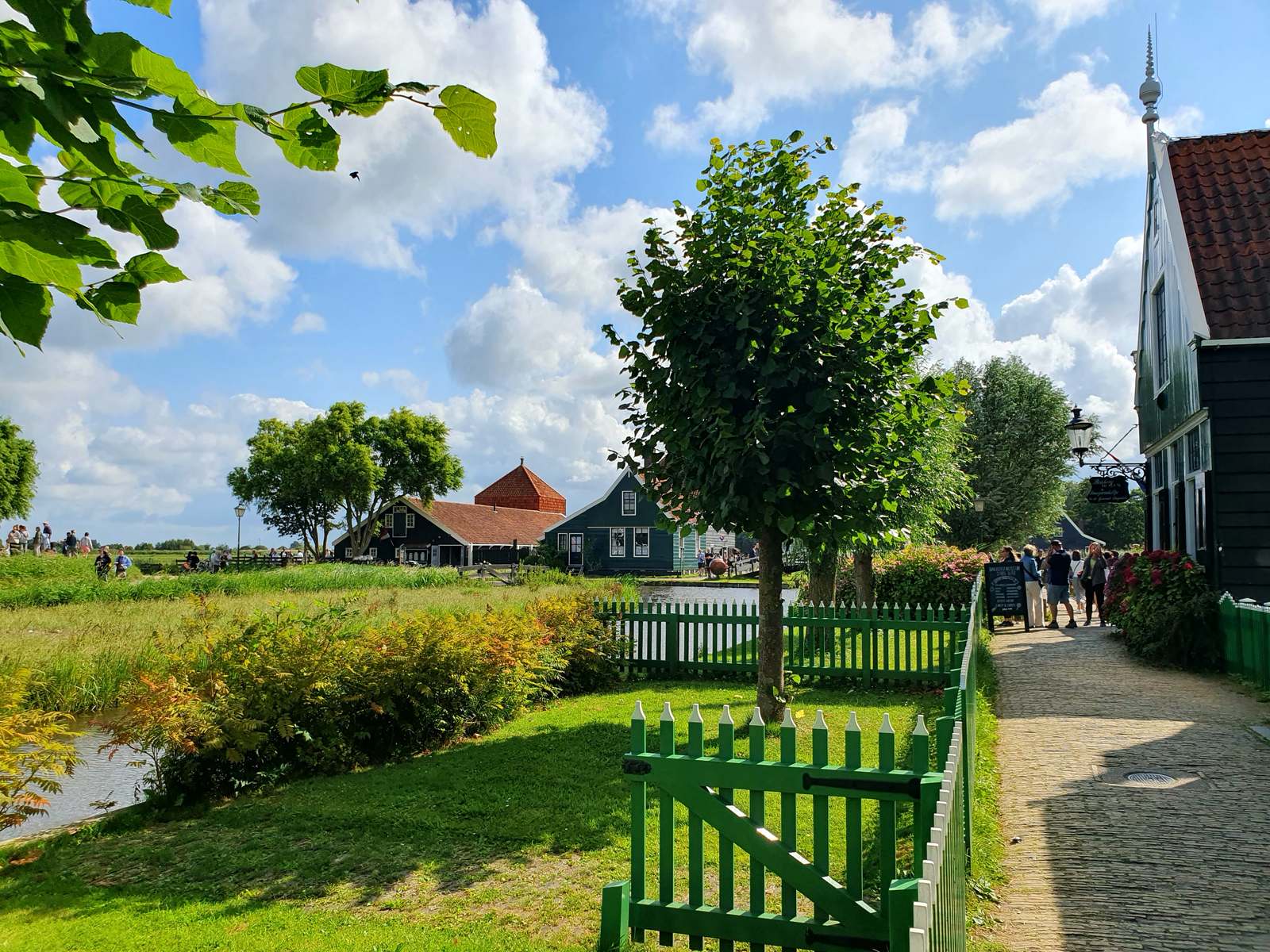 Fotografie