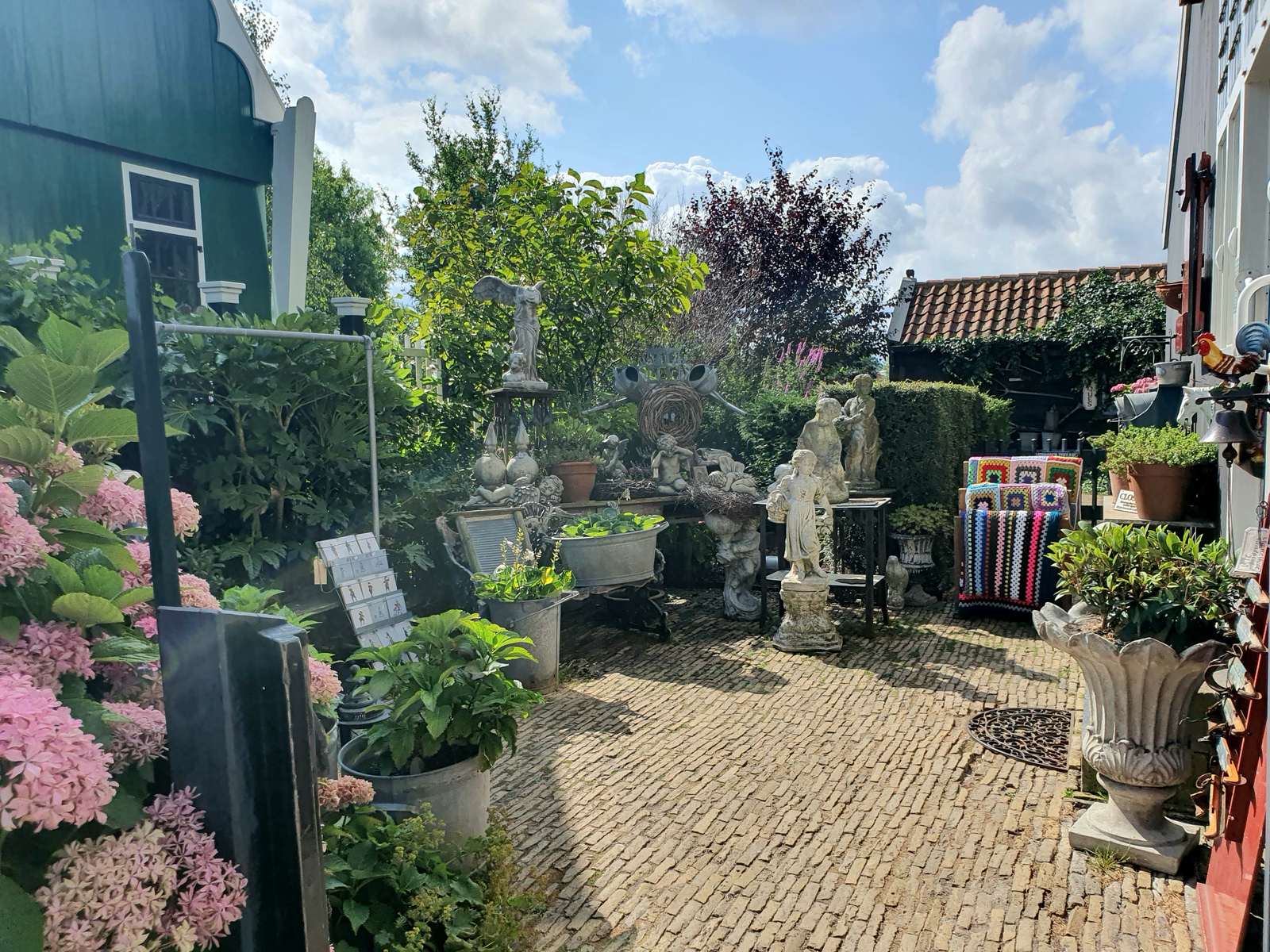 Fotografie