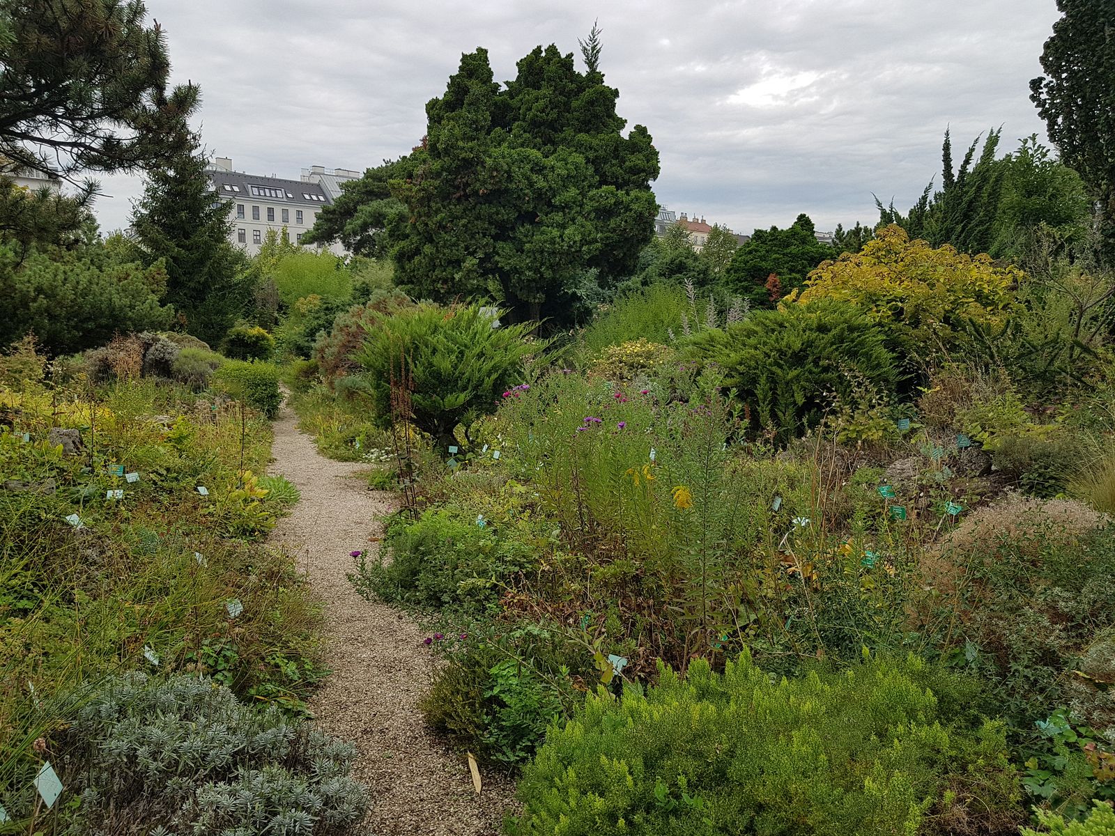 Wien_Schloss_Belvedere_Alpengarten_20220914_114724.jpg