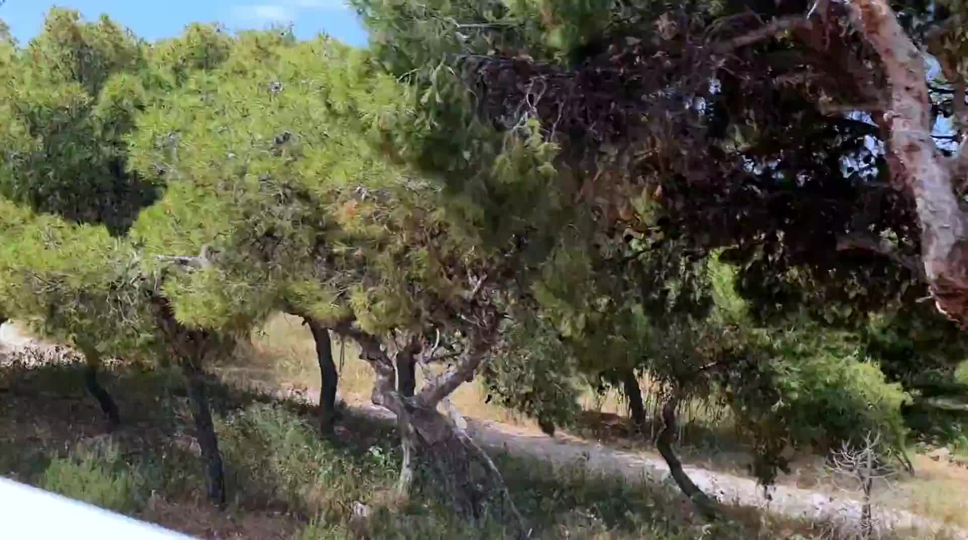 edem-riviera-busfahrt_005.mp4