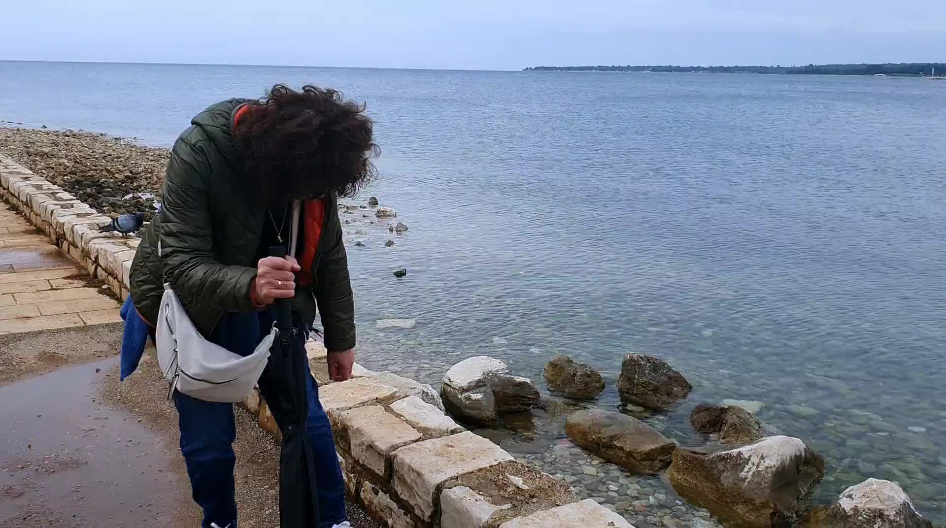 Fotografie