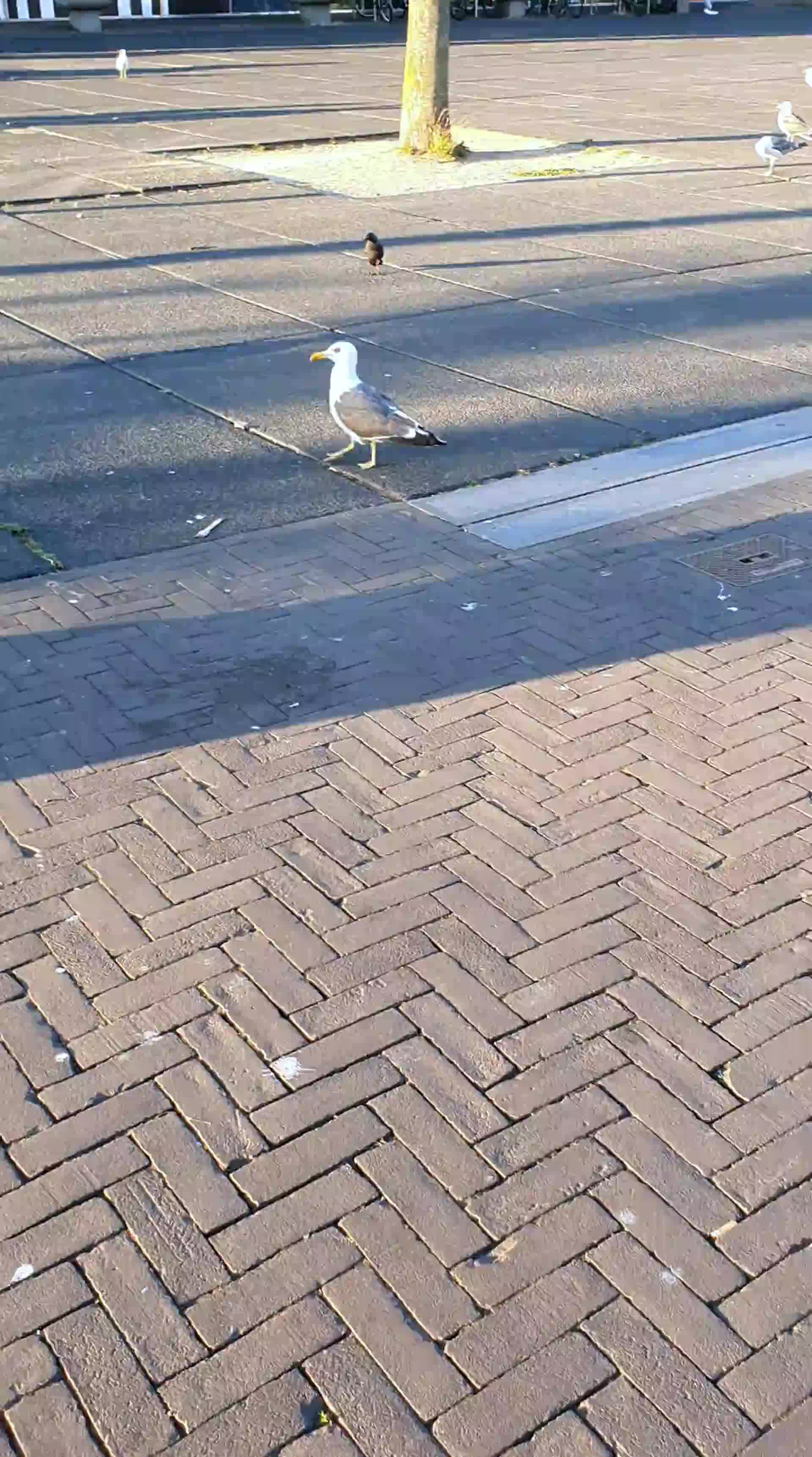 Fotografie