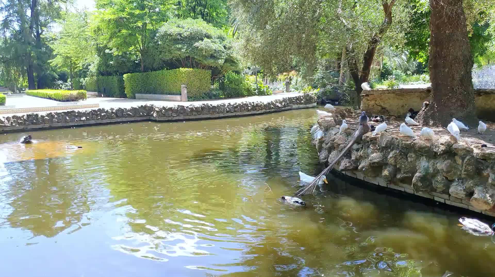 VID_20250506_141538.mp4