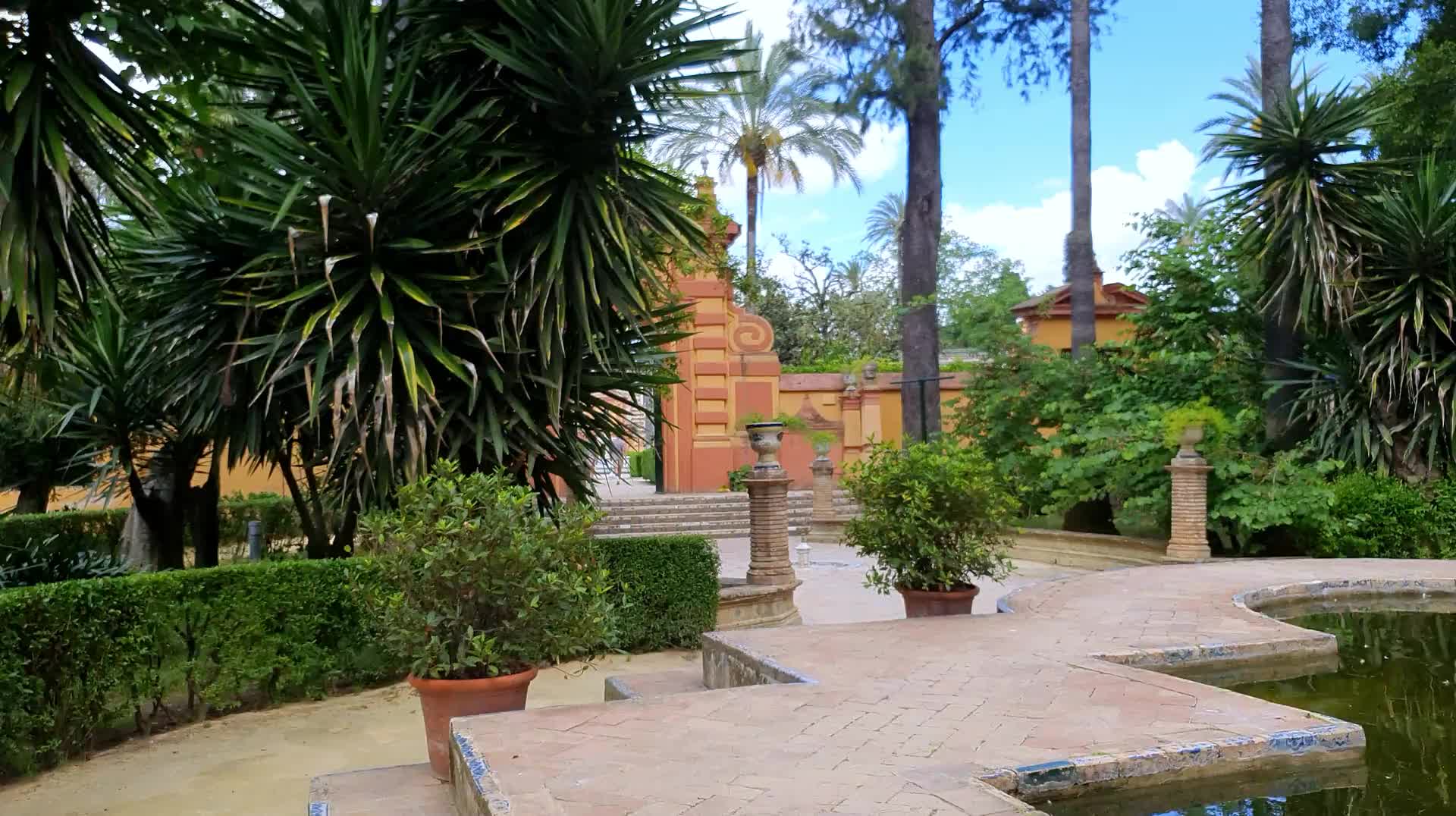 VID_20250506_172547.mp4